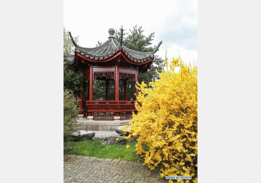 Scenery of Chinese garden 'De Yue Yuan' at Gardens of World in Berlin