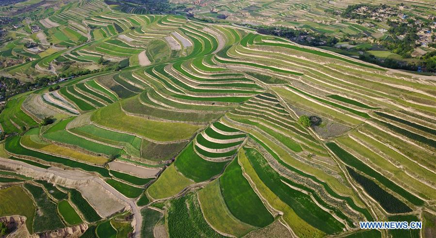 In pics: terraces in NW China