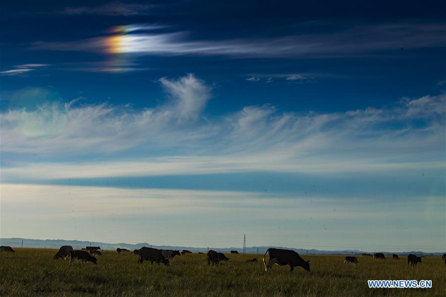 Amazing scenery of Barkol grassland in China's Xinjiang