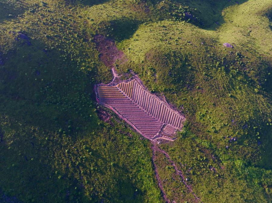 Alpine meadow in Fujian provides ideal summer attraction