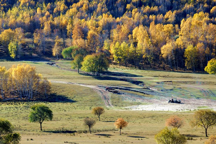 Scenery of Saihanba in N China