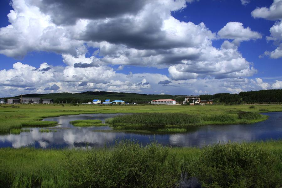 Scenery of Saihanba in N China