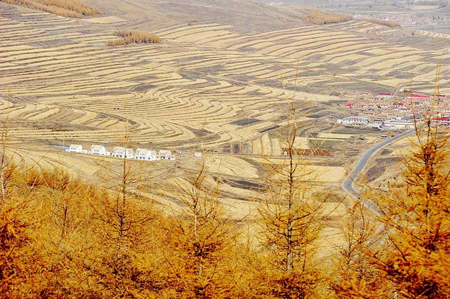 Late autumn scenery in Zhangjiankou, Hebei province