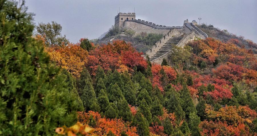 Badaling Great Wall dyed red with autumn leaves