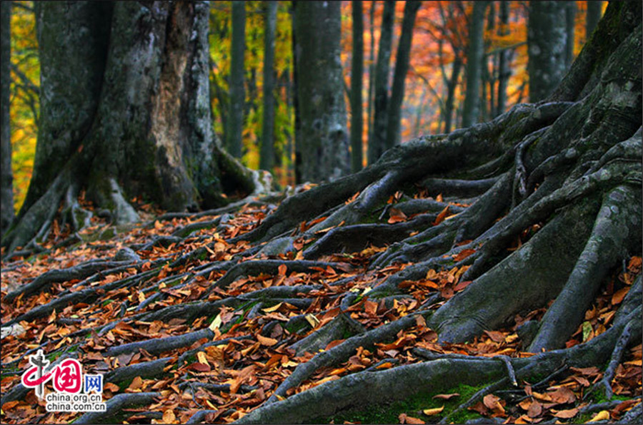 Autumn scenery of Guangwu Mountain in SW China