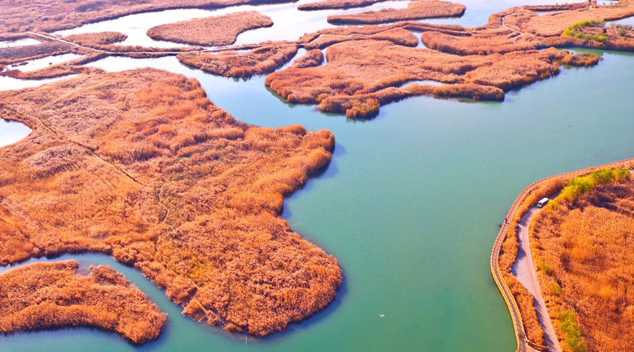 Picturesque Zhangye National Wetland Park