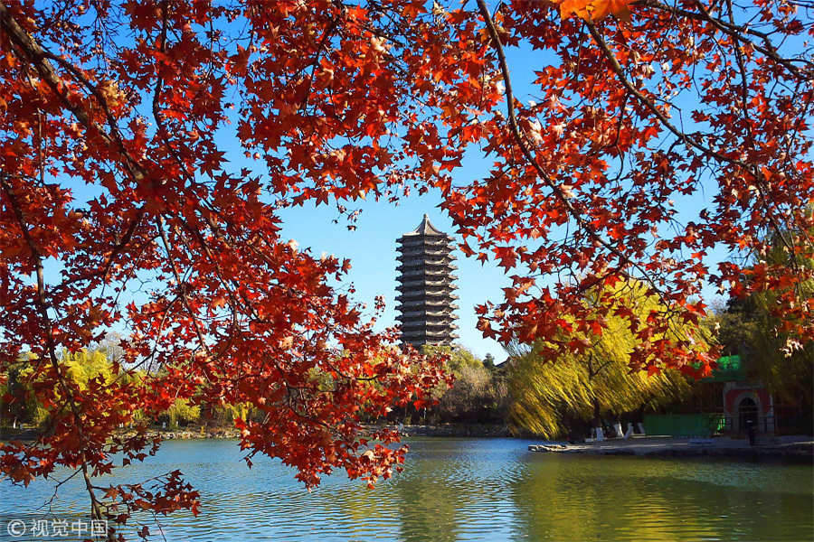 Charming campus scenery in Beijing