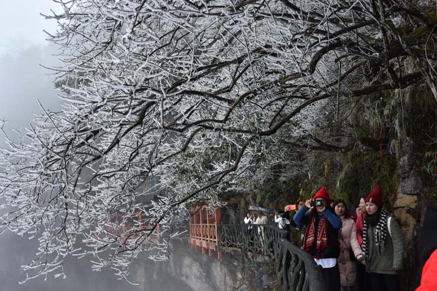 Rime turns Tianmen Mountain into winter wonderland