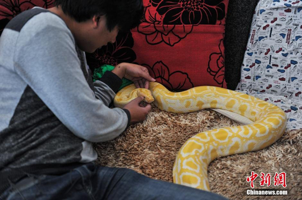 Trending: Snake man lives with pythons