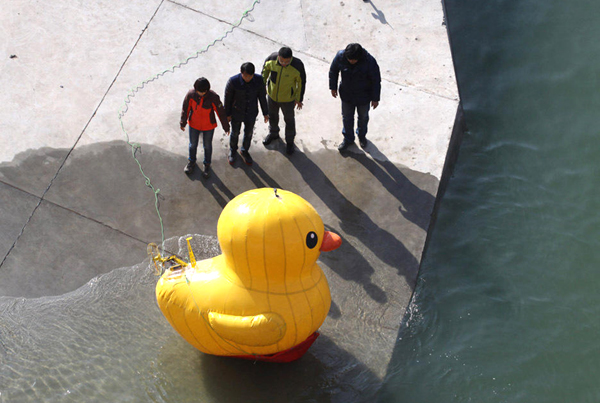 Trending: Duck plays role in water diversion documentary