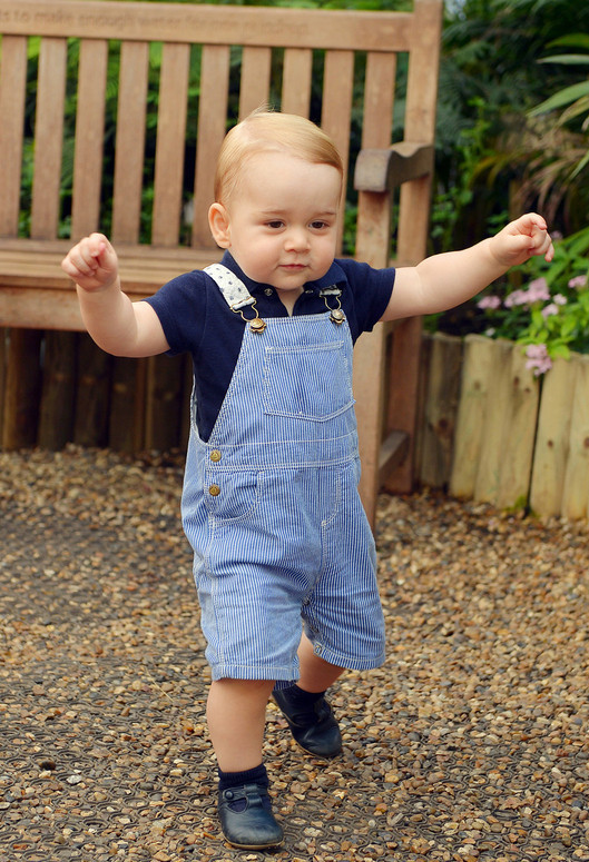 Prince George spends first birthday with butterflies