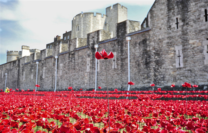 Ceramic poppies take shape at London Tower to mark WWI