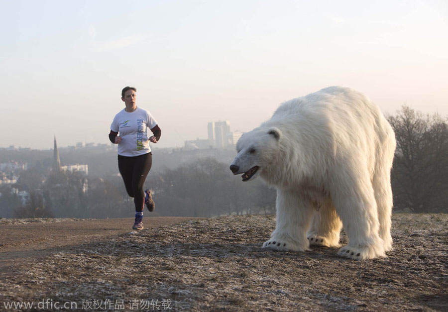 'Polar bear' roams in London, but don't panic