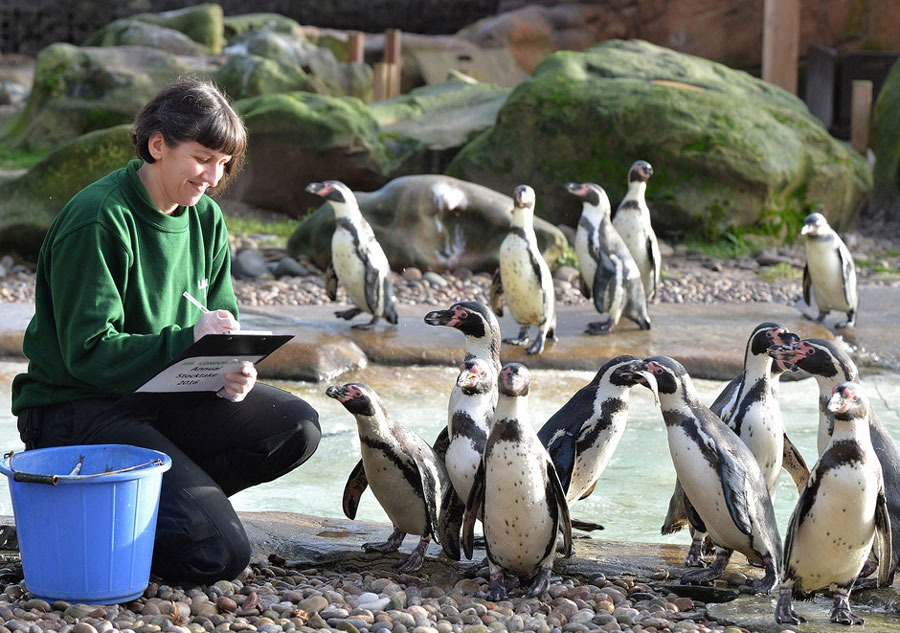 London Zoo starts annual stocktake of animals