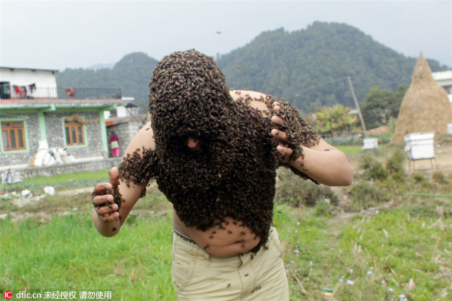 Nepalese man covers himself in fatal Serena bees