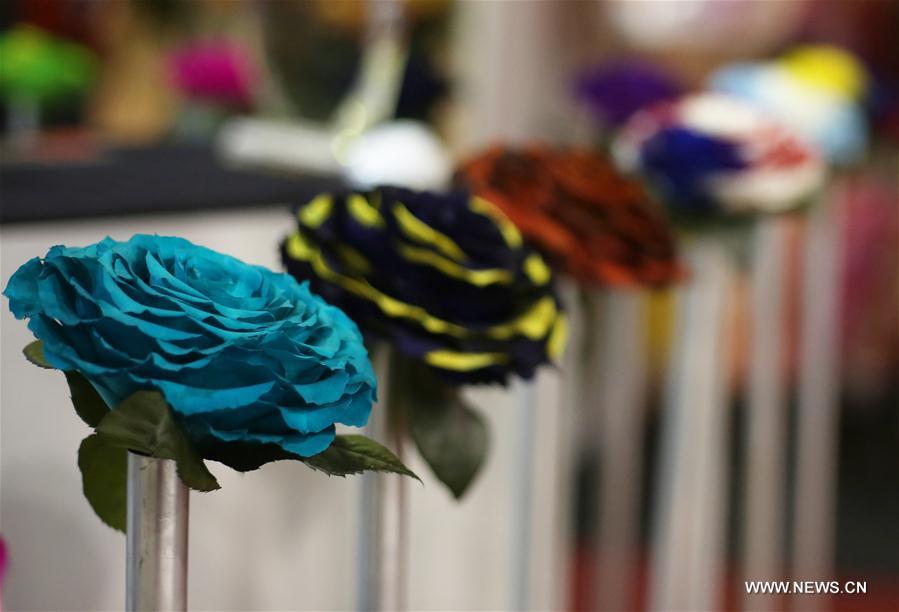 Art of flowers displayed at 2016 Agriflor Fair