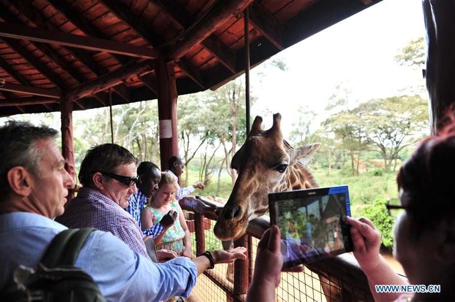 Tourists visit giraffe Center in Kenya