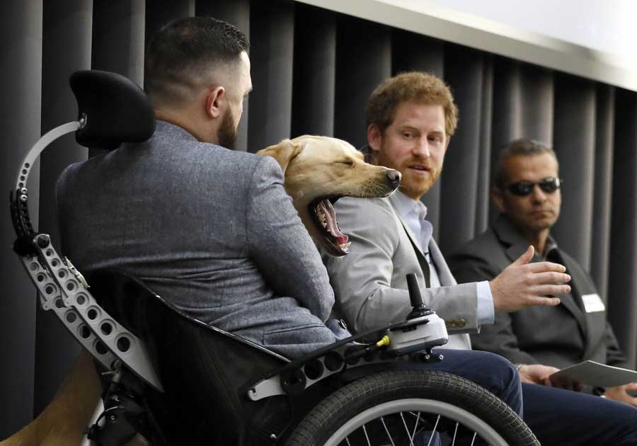 Yawning dog steals Prince Harry's thunder at health discussion