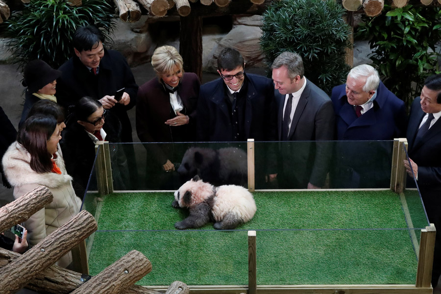 1st Panda cub born in France named Yuan Meng