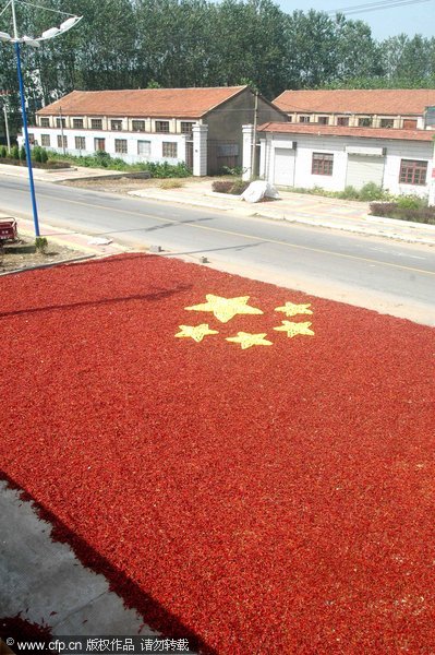 山東郯城：紅椒拼國旗 情意火辣辣